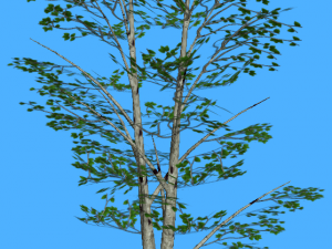 game ready tree pack 3D-Modell