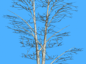 game ready tree pack 3D-Modell