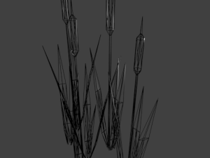 reed 3D Model