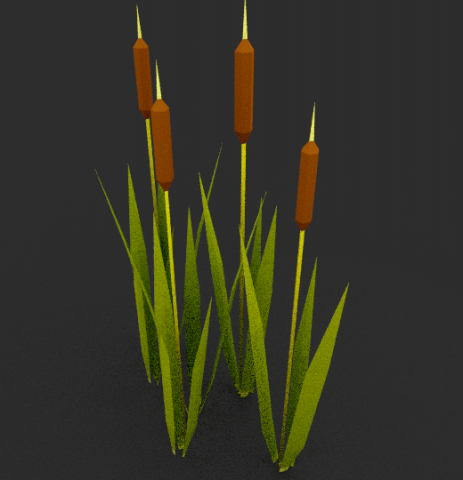 reed 3D Model .c4d .max .obj .3ds .fbx .stl .blend 