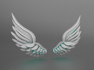 wings 3D Модель