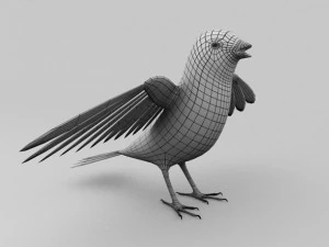 kuş tabanı 3D Model