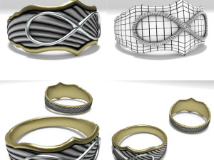 infinity ring 3D Model