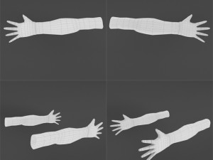 hands lowpoly base 3D Model