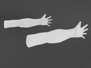 手ローポリベース 3Dモデル