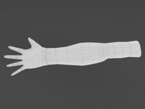 手ローポリベース 3Dモデル