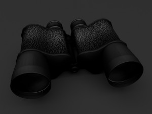 binoculars 3D 모델