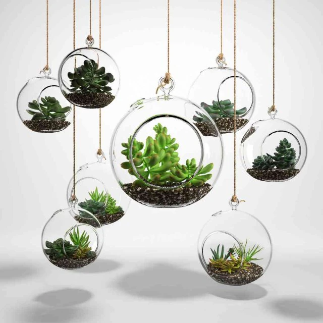 sedum in a glass bowl 3D Model .c4d .max .obj .3ds .fbx .stl .blend 