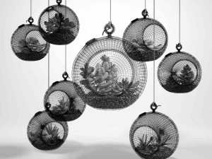 sedum in a glass bowl 3D 模型