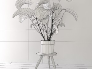 monstera 3D 模型