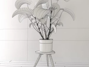 monstera 3D Model