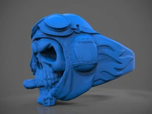 ring skull pilot 3D Print Model