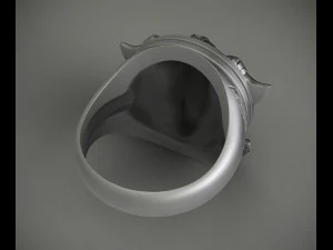 ring viking 3D Print Model