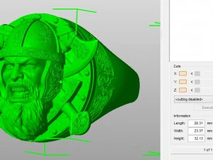ring viking 3D Print Model