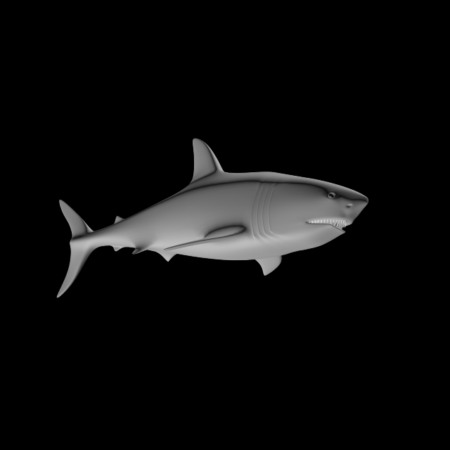 shark 3D Model .c4d .max .obj .3ds .fbx .stl .blend 