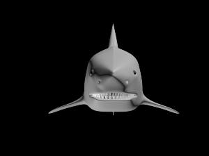shark 3D Model