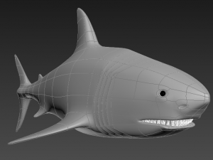 shark 3D Model
