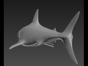 shark 3D Model