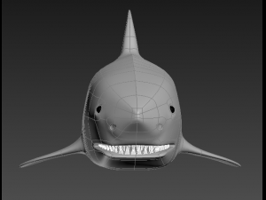 shark 3D Model