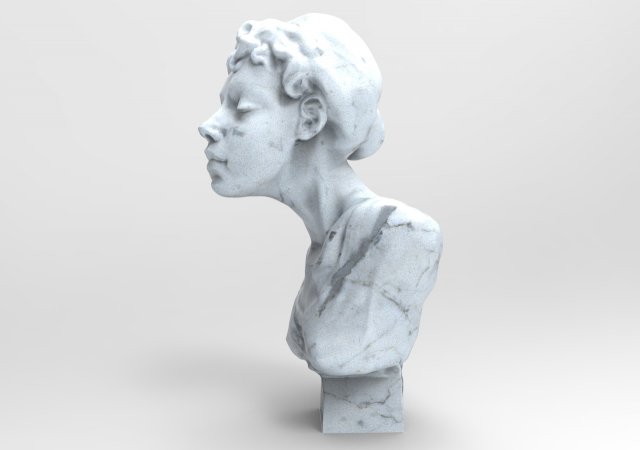 woman bust 3D Model .c4d .max .obj .3ds .fbx .stl .blend 