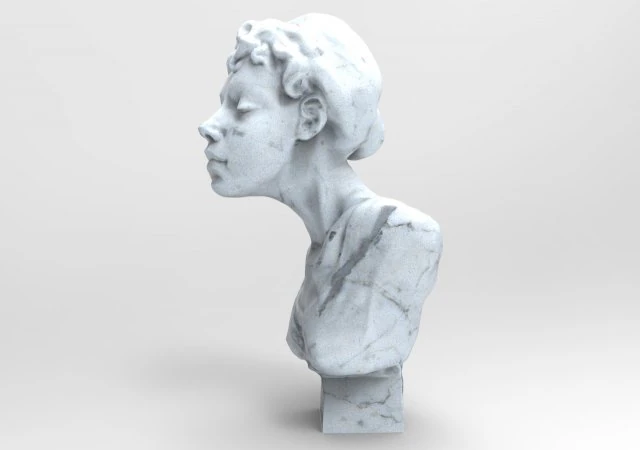woman bust 3D Model .c4d .max .obj .3ds .fbx .stl .blend