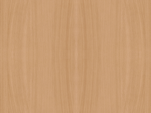 modern wood-glass table 3D-Modell