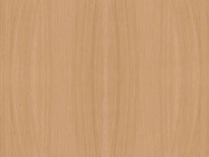 modern wood-glass table 3D Model