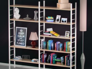 bookshelf with books and decoration objects 3D Model