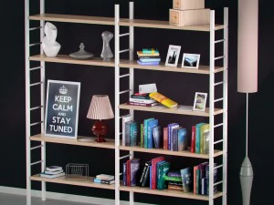 книжная полка с книгами и предметами декора 3D Модель