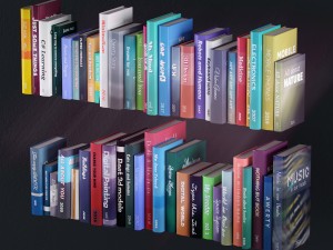 bookshelf with books and decoration objects 3D Model
