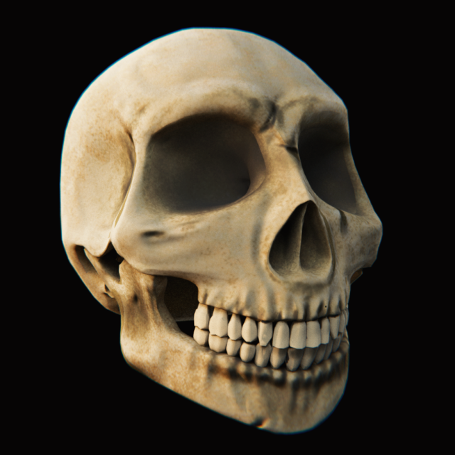 skull - blender3d Modelo 3D .c4d .max .obj .3ds .fbx .stl .blend 