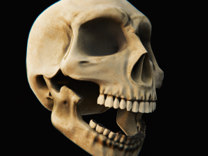skull - blender3d Modelo 3D