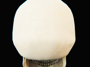 skull - blender3d Modelo 3D
