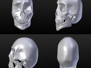 skull - blender3d Modelo 3D