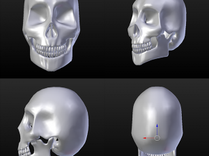 skull - blender3d Modelo 3D