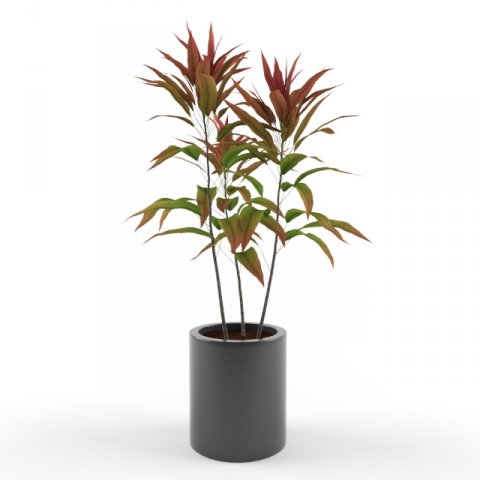 vase with flower 3D मॉडल .c4d .max .obj .3ds .fbx .stl .blend 