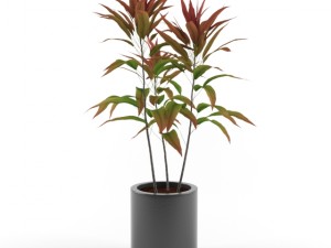 vase with flower 3D Model