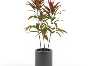 vaas met bloem 3D Model