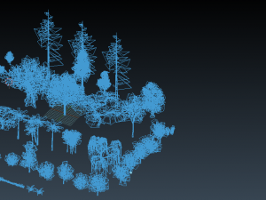 super vegetation pack 3D Модель