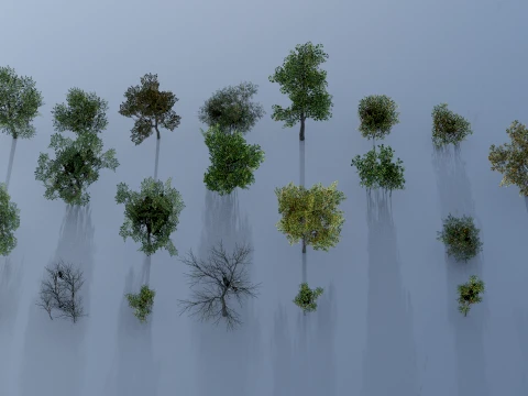 Trees and Bushes pack 3D Model