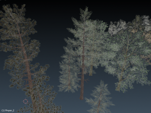english trees and bushes pack 3D 모델