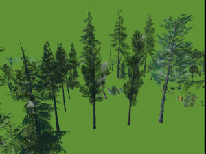 high quality trees for vr 3D Model
