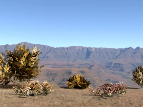 High quality trees for vr 3D Model