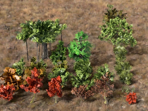 High quality trees for vr 3D Model