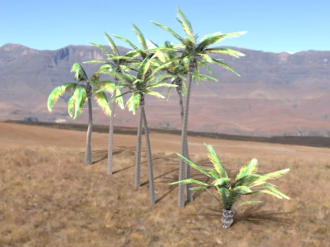 High quality trees for vr 3D Model