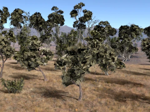 High quality trees for vr 3D Model