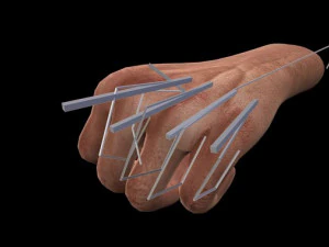 装備された手マン 3Dモデル