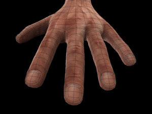 rigged hand man Model 3D