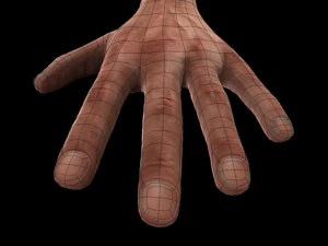 rigged hand man 3D Model