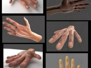 rigged hand man 3D Model